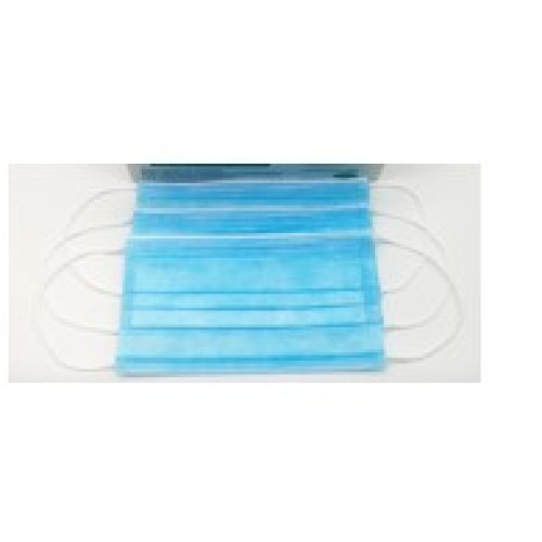 Disposable Face Mask 10ct
